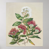 Poster Fleur de Arbuste Vintage (Devant)