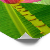 Poster Fleur de banane, jardins de Limahuli, verticale de (Coin)