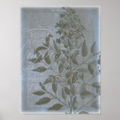 Poster Fleur de Bleu I (Devant)