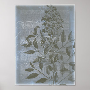 Poster Fleur de Bleu I