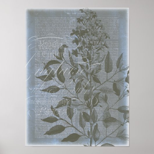 Poster Fleur de Bleu I (Devant)