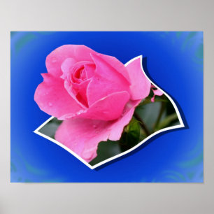 Poster Fleur de bourgeon de rose rose hors limites Art