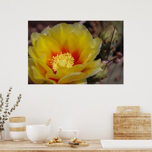Poster fleur de cactus (Cuisine)