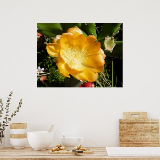 Poster Fleur de cactus en orange (Cuisine)