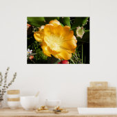 Poster Fleur de Cactus Fleurit en Orange (Cuisine)