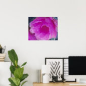 Poster Fleur de cactus hérisson rose (Echinocereus (Bureau à domicile)