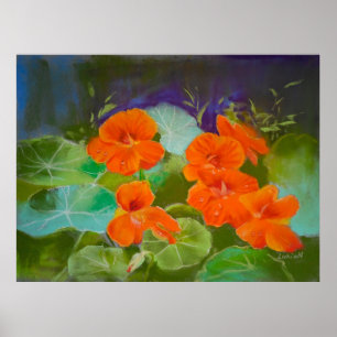 Poster Fleur de Capucine - Pastel Botanique