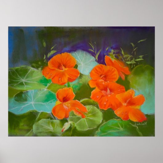 Poster Fleur de Capucine - Pastel Botanique (Devant)