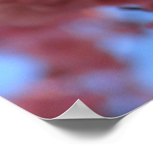 Poster Fleur de cerise (Coin)