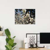 Poster Fleur de cerisier blanc / Sakura / ク(桜) (Bureau à domicile)