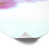 Poster Fleur de cerisier japonaise (Coin)