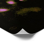 Poster Fleur de cerisier rose (Coin)