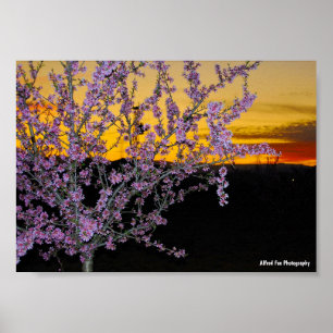 Poster Fleur de cerisier rose dans un ciel jaune