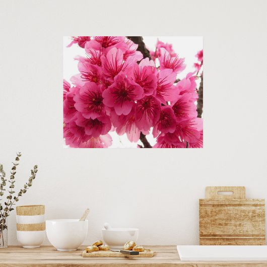Poster Fleur de cerisiers (Cuisine)
