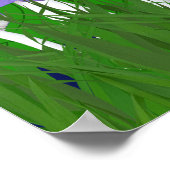 Poster Fleur de champignons et papillon (Coin)