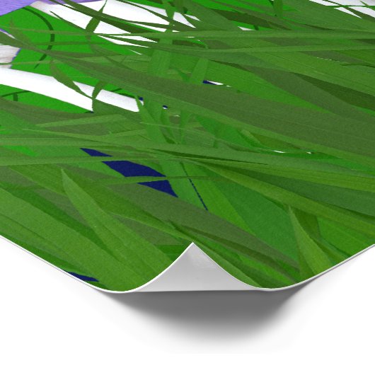 Poster Fleur de champignons et papillon (Coin)