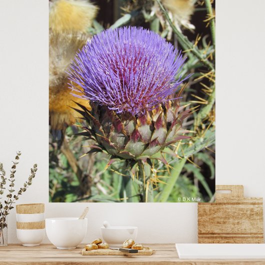 Poster - Fleur de chardon pourpre simple (Cuisine)