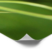 Poster Fleur de cloche de mariage (Coin)