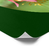 Poster Fleur de colonne rouge sauvage (Coin)