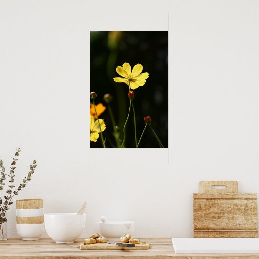 Poster Fleur de cosmos jaune (Cuisine)
