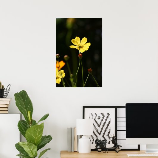 Poster Fleur de cosmos jaune (Bureau à domicile)