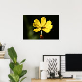 Poster Fleur de cosmos jaune (Bureau à domicile)