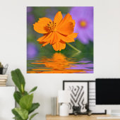 Poster Fleur de cosmos orange au-dessus de l'eau (Bureau à domicile)