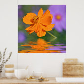 Poster Fleur de cosmos orange au-dessus de l'eau (Cuisine)