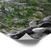 Poster Fleur de couleur partielle du jardin de tournesol (Coin)