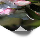 Poster Fleur de crabe printanière joyeuse (Coin)