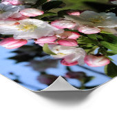 Poster Fleur de crabe printanière joyeuse fleurit Abstrai (Coin)