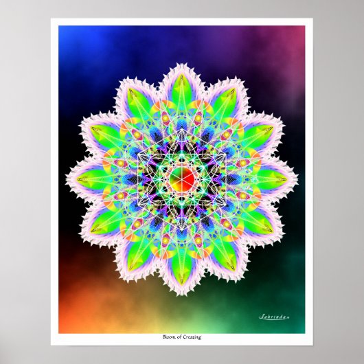 Poster Fleur de création (Devant)