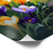 Poster Fleur de Crocus (Coin)