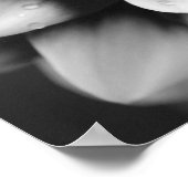 Poster Fleur de Dahlia noir et blanc (Coin)