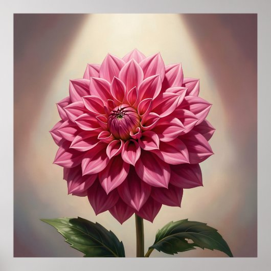 Poster Fleur de Dahlia Rose Botanique (Devant)