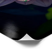 Poster Fleur de dahlia rose et orange chaud (Coin)