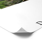 Poster Fleur de dessert (Coin)