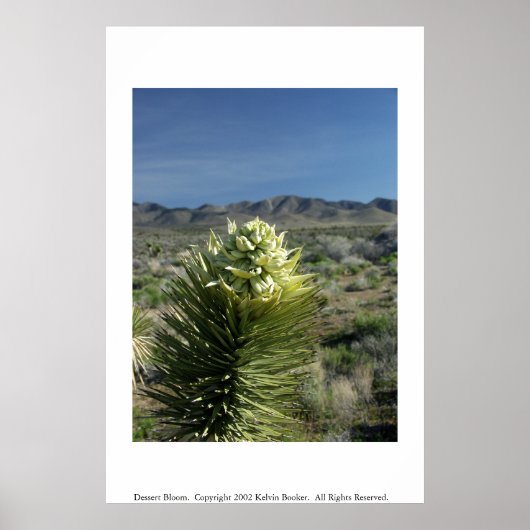 Poster Fleur de dessert (Devant)