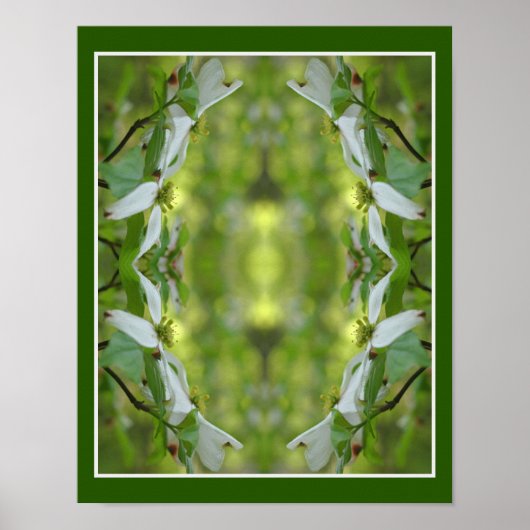 Poster Fleur de Dogwood sauvage fleurit Abstrait (Devant)