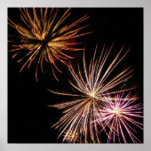 Poster Fleur de feu (Devant)