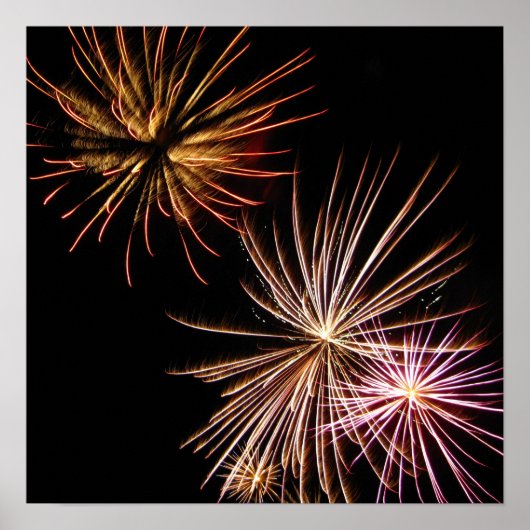 Poster Fleur de feu (Devant)