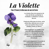 Poster Fleur de février aquarelle botanique violette