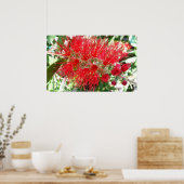 Poster Fleur de fond Rouge Tropical Floral (Cuisine)