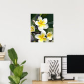 Poster Fleur de frangipanier Îles Cook (Bureau à domicile)