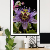 Poster Fleur de fruit de la passion pourpre, (Bureau à domicile)