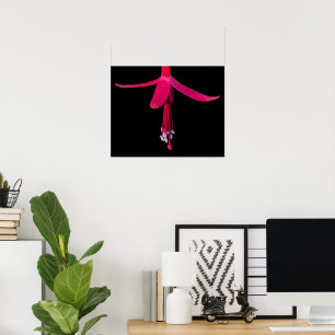 Poster Fleur de Fuchsia Rose Clair sur Fond Noir