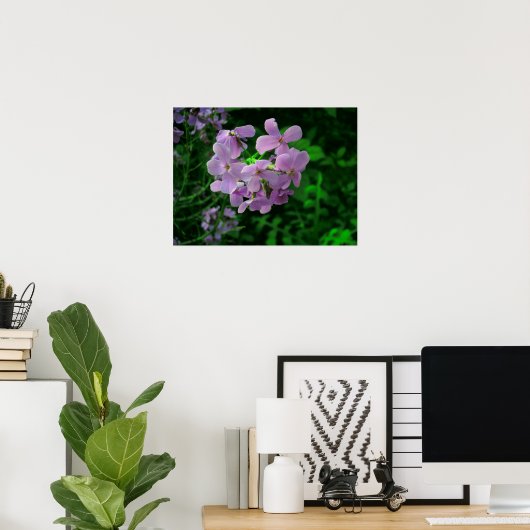 Poster Fleur de fusées de Dame (Bureau à domicile)