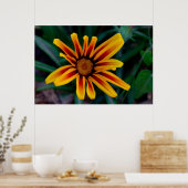 Poster fleur de gazania (Cuisine)