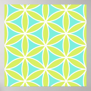 Poster Fleur de grande chaux turquoise et de blanc de Ptn