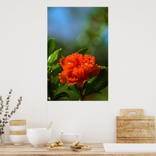 Poster Fleur de grenade (Cuisine)